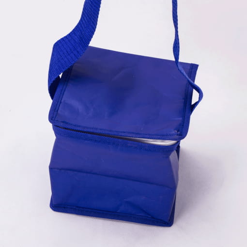 wholesale cooler reusable tote bags 002_02