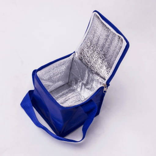 wholesale cooler reusable tote bags 002_03