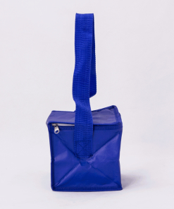 wholesale cooler reusable tote bags 002_04