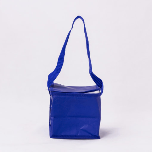 wholesale cooler reusable tote bags 002_06
