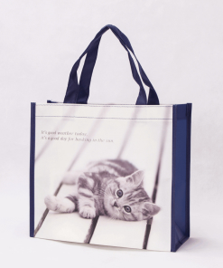 wholesale non-woven laminated reusable tote bags 008_02