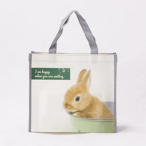 wholesale non-woven laminated reusable tote bags 039_01