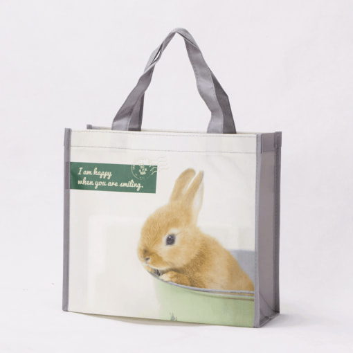 wholesale non-woven laminated reusable tote bags 039_02