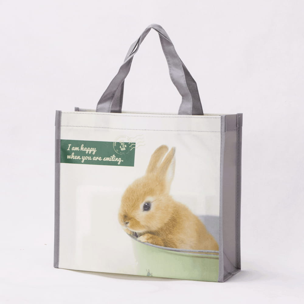 Custom Printed Wholesale Laminated Reusable Non Woven Shopping Tote Bags - Homesgu