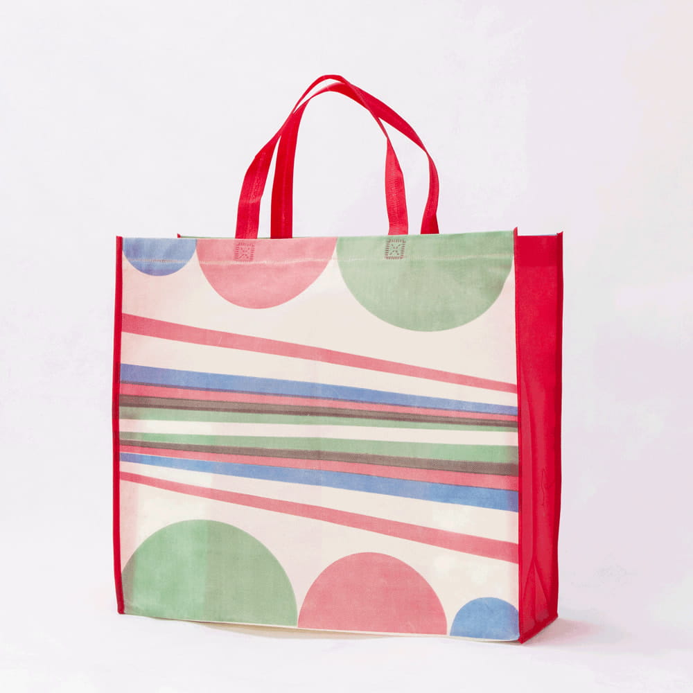 Custom Logo Printed Wholesale Reusable Non-woven Shopping Bags - Homesgu